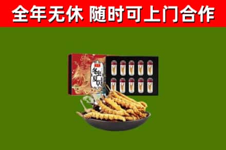 霍林郭勒回收冬虫夏草价格