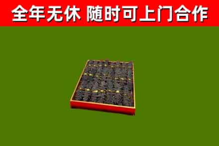 霍林郭勒回收海参